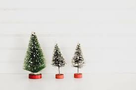 Buy Christmas Tree Near Me Ethical And Sustainable Christmas Trees Ethical Net