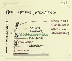 The Peter Principle A Competent Employee Will Sketchplanations A Weekly Explanation In A Business Psychology Business Leadership Leadership Management