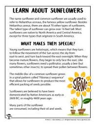 Learn about the fascinating world of plants for kids with our range of fun experiments, free games, science fair projects, interesting quizzes, amazing facts, cool videos and more! Sunflower Activity Pages For Kids Woo Jr Kids Activities
