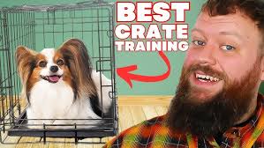 Jeff Millman Dog Training