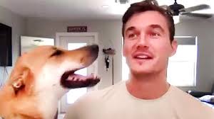 Tyler Cameron Says Chris Harrison Is at Peace With "Bachelor" Exit