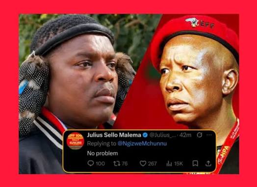 🔥 Julius Malema Responds to Ngizwe Mchunu's Apology 🔥 EFF leader Julius Malema has responded to a post by Ngizwe Mchunu on X, where Macingwane was heard offering an apology. Malema kept
