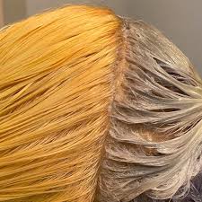 Purple will still work, but the blue tones work optimal. How To Get Orange Out Of Hair And Fix Bad Bleaching Hair Adviser