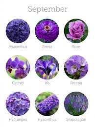 Wedding Budget Tip 16 Choose In Season Flowers To Save Money Wedding Flower Guide Purple Wedding Flowers September Wedding Flowers