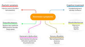 Biology Free Full Text Clinical Features Of Parkinson S Disease The Evolution Of Critical Symptoms Html
