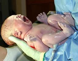 Cese completo e irreversible de la actividad cerebral o encefálica. Nace Un Nino De Su Madre En Estado De Muerte Cerebral Observatorio De Bioetica Ucv