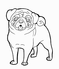 Pug Coloring Page Dog Coloring Page Puppy Coloring Pages Animal Coloring Pages