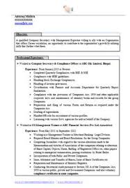 Cv format choose the right cv format for your needs. Computer Secretary Resume Samples No Experience