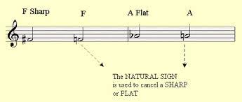 A natural cancels a sharp or flat within a measure or a song. Natural Signs Or Confusion Signs Music Reading Savant