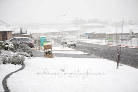 Jun 10, 2021 · cars cloaked in ice and snow in orange today. The Beauty Of Snow I Orange Photographer Nsw Photographer Orange Bathurst Nsw