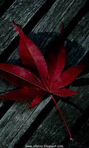 Free download hd & 4k quality handpicked collection. Android Hd Wallpapers For Mobile Group 71