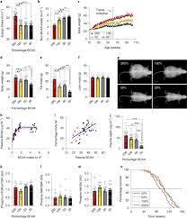 Branched Chain Amino Acids Impact Health And Lifespan Indirectly Via Amino Acid Balance And Appetite Control Nature Metabolism