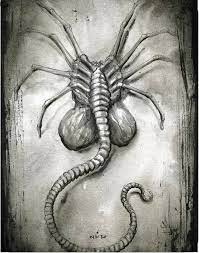 Alien Sketch Facehugger by N.C. Winters | DogStreets