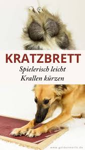 Tja und da erzählt sie mir, dass meine nachbarn mich anzeigen wollen, da mein hund in unseren garten kackt. Krallen Kurzen Mit Dem Kratzbrett Geeignet Fur Angstliche Und Aggressive Hunde Spielerisch Leicht Und Schmerzfrei Kratzbrett Hunde Tricks Fur Hunde