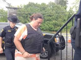 Nicole Vaisey admits kidnapping Amish girls to make porn | NCPR News