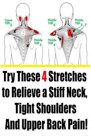 Pin On Exercise