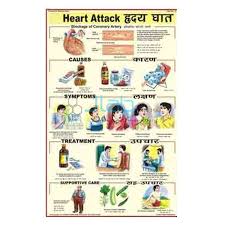 Heart Attack Chart India Heart Attack Chart Manufacturer