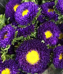 104 listings in overland park, ks. Pulley Wholesale Florist Home Facebook