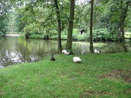 Park Molenvijver Park Nationale Parken