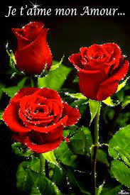We did not find results for: Roses Rouges Je T Aime Mon Amour Belles Photos De Fleurs Amour Gif Gif Rose