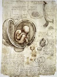 Leonardo Da Vinci Anatomical Studies And Drawings Leonardo Da Vinci Etudes Anatomiques Et Dessins Drawing Book Pdf Figure Drawing Books Medical Drawings