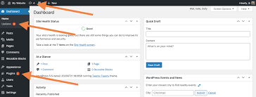 Plugin and themes auto-updates – Documentation – WordPress.org