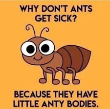 Joke Of The Day For Kids Funny Funny Puns Puns Jokes Corny Jokes