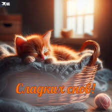 40+ картинок и открыток на тему «Спокойной ночи»: скачать бесплатно новые  красивые, прикольные, необычные картинки «Спокойной ночи» с нежными  пожеланиями, смешными надписями любимой женщине, девушке, мужчине