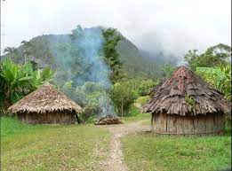 7 Jenis Rumah Adat Papua Lengkap Nama Dan Gambar