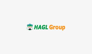 Hoang anh gia lai fc. Hagl Logo Vector Hoang Anh Gia Lai F C Png Image Transparent Png Free Download On Seekpng