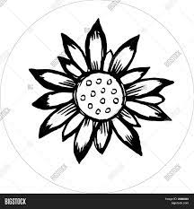 Download 2,271 sunflower black white drawing stock illustrations, vectors & clipart for free or amazingly low rates! Flower Draw Black Vector Photo Free Trial Bigstock