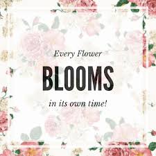 Every Flower Blooms In Its Own Time Everything In Life Happens When It Is Supposed To