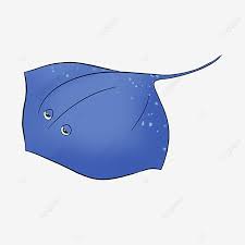 Gambar mewarnai spiderman film kartun merupakan salah satu film yang banyak digemari oleh anak kecil. Gambar Kartun Clipart Ikan Pari Biru Tua Stingray Clipart Ray Merah Ikan Pari Png Transparan Clipart Dan File Psd Untuk Unduh Gratis