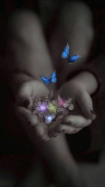 170 ideas de MARIPOSAS | mariposas bonitas, imagenes de mariposas, fotos de mariposas