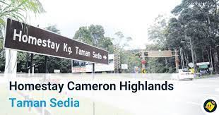 1 katil besar (2 atau 3 orang). Homestay Cameron Highland Taman Sedia C Letsgoholiday My