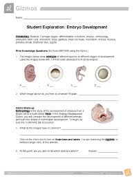 Meiosis gizmo answer key activity a cell division gizmos answer key from bkc.cr1ds14.pw phases and mechanisms with answer key. 4 Embryo Development Gizmo Embryo Biological Processes