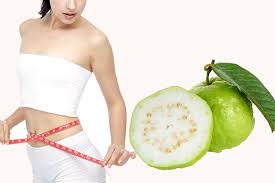 Ổi bao nhiêu calo? Nhật ký giảm cân bằng ổi giảm 3kg trong 1 tuần