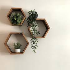 Mariela Abigail Monreal Guajardo (mariela_pedro)