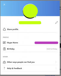 write a skype id in a resume