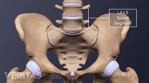 Image result for Lumbar vertebrae