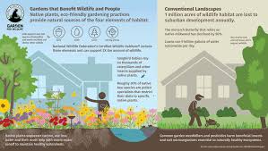 Another specific aim of this report is to persuade the reader of the importance of increasing biodiversity in urban areas. Impact Of Wildlife Gardens