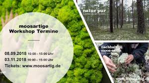 Impressionen Vom Moosartigen Workshop Am 21 07 2018 Mit Theorie Und Praxistraining Zur Herstellung Von Moosbildern Und Mooswanden Mooswand Moos Island Moos