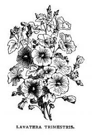 Black And White Free Images Of Flowers Free Vintage Bouquet Of Flowers Black White Clip Art Illustration Vintage Bouquet Vintage Flowers Illustration Art