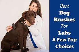 It reduces shedding by 90% and helps control your labradors undercoat during shedding season. Best Brush For Labs A Look At The Top Dog Grooming Supplies For Labradors