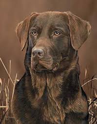 Home Wild Wings Labrador Retriever Labrador Dog Dog Art