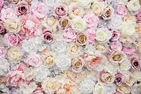 Red flower backgrounds are famous for ecommerce sites because of their powerful psychological effect on consumers. 46 000 Red Flower Background Pictures
