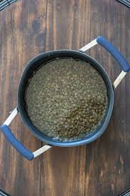 The skin of an eggplant is full of antioxidants, potassium and magnesium. How To Cook Lentils 3 Ways Veggies Don T Bite