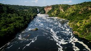The nile river will lead you to witness the immortal pharaonic civilization in upper egypt. Jinja And The Source Of The Nile Natural World Safaris