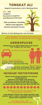 Eurycoma longifolia is shown to increase steroidogenesis; Tongkat Ali Testosterone The Ultimate Guide Androgenhacker