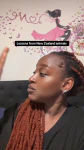 Lessons from New Zealand animals #lessons